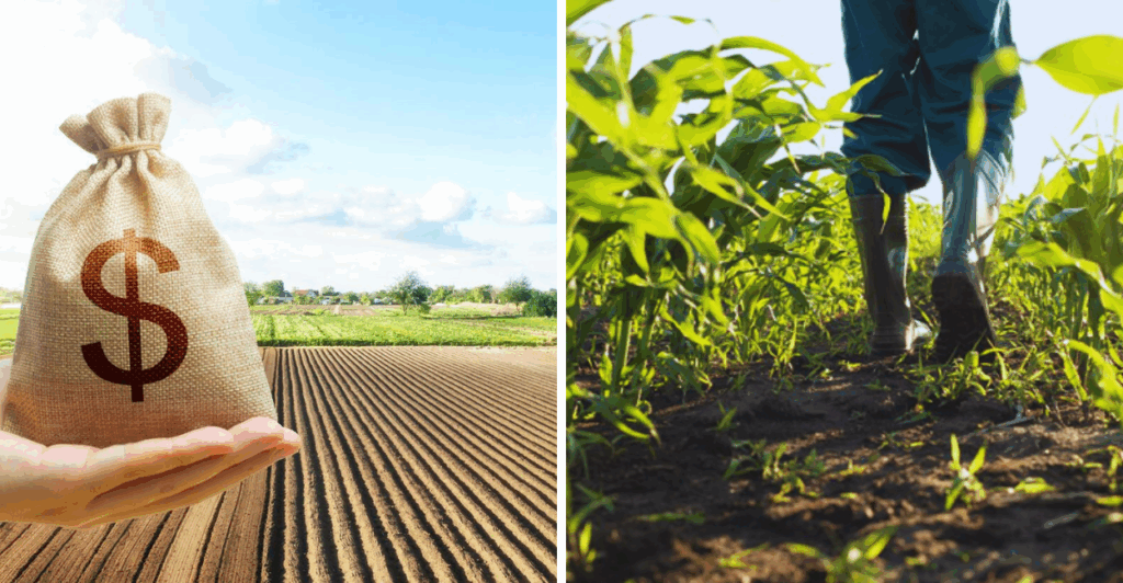 Crédito Rural para Compra de Terra: Guia Completo e Atualizado