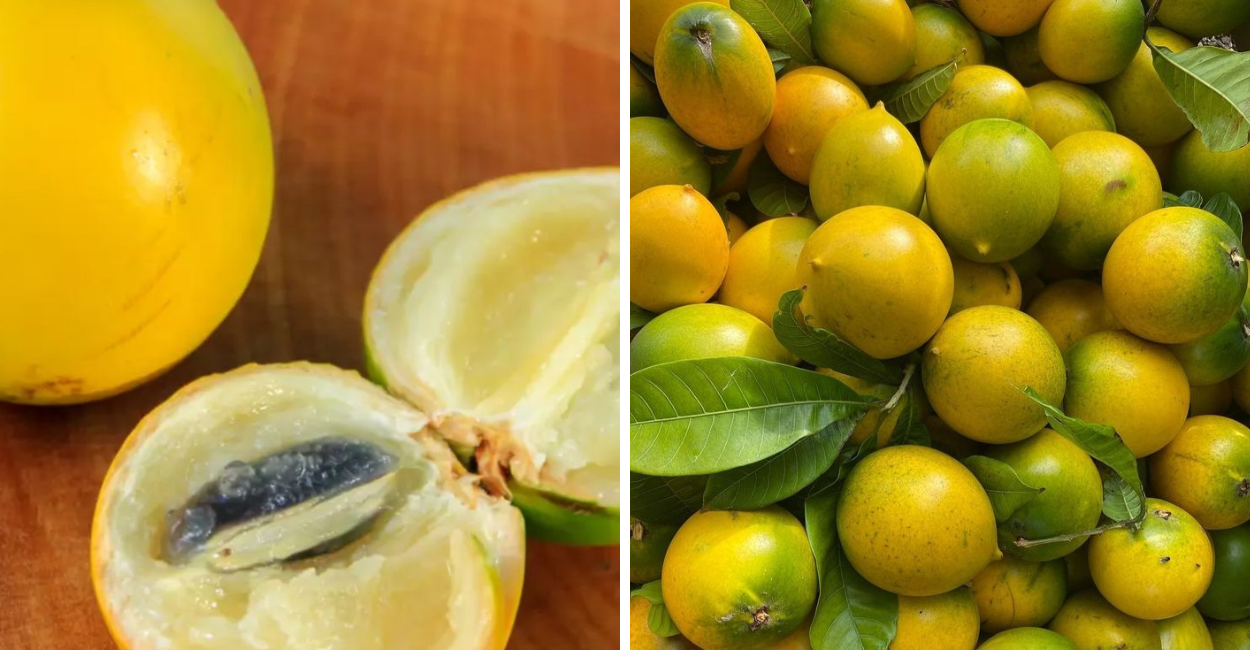 A fruta rara que o Brasil esconde e que tem um poder impressionante no organismo